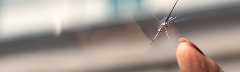 ¿Se puede reparar una grieta en el parabrisas?